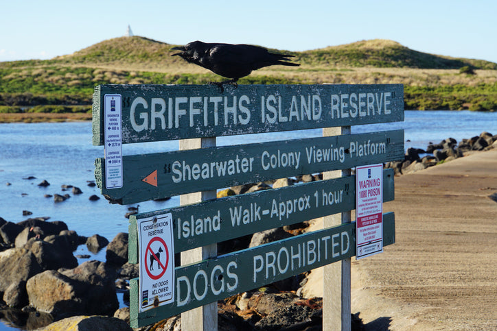 "Griffith Island signpost captured by photographer Kirsten Walla, set against a backdrop of natural coastal scenery. The signpost marks the entrance to the island, guiding visitors to this picturesque and wildlife-rich location in Port Fairy."