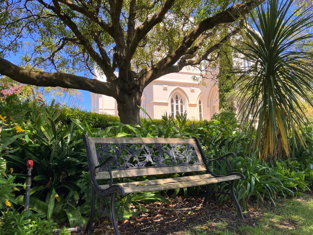 Bench under a tree in the garden with The Convent at Koroit in the background.