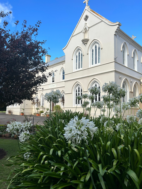 Side view of the Convent at Koroit with agapanthas.