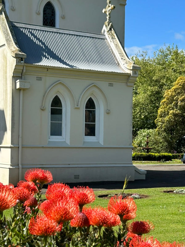 A colorful display of flowers blooming in the gardens at the Convent at Koroit, with a variety of vibrant petals set against a backdrop of lush greenery and historic architecture