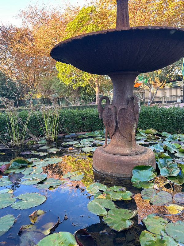  "Heritage fountain at the Convent at Koroit, featuring intricate stonework and historic design. The fountain is surrounded by lush garden greenery and symbolizes the rich history and tranquility of the convent grounds."