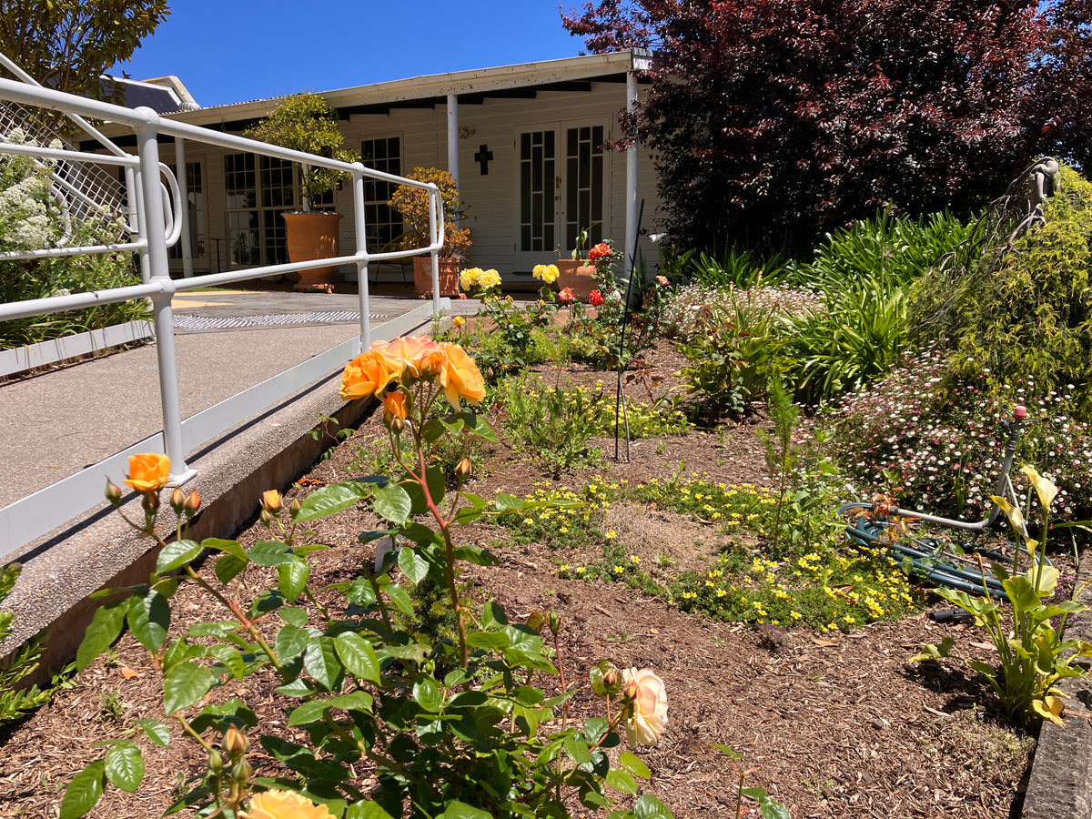 Garden beside the Pavillion and the accessibility ramp at The Convent at Koroit
