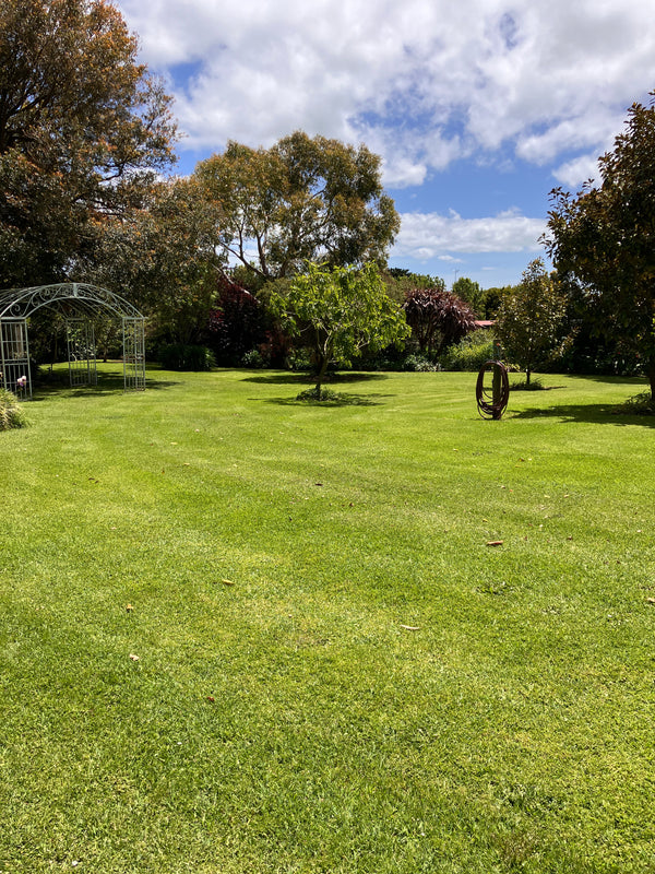 Lush green lawn with trees and a clear blue sky at the Convent at Koroit.