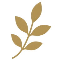 A minimalist olive branch graphic with five gold leaves on a thin brown stem, centered on a solid cream-colored background.