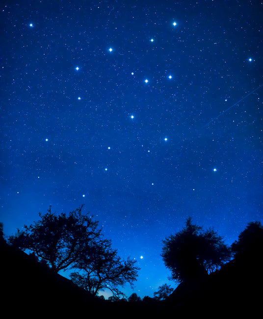 Starry night sky with trees at the bottom