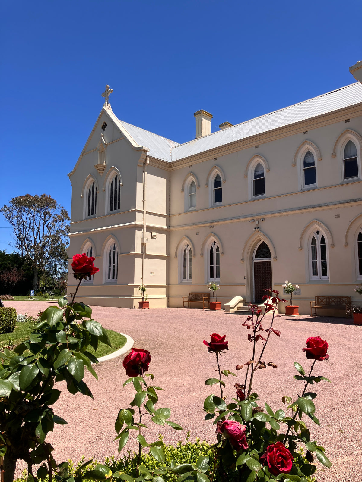 The Convent at Koroit with a blue sky and roses in the foreground